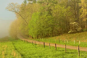 Early morning view of Hyatt Lane, Cades Cove, Great Smoky Mountains National Park, Tennessee, USA Early morning view of Hyatt Lane, Cades Cove, Great Smoky Mountains National Park, Tennessee, USA