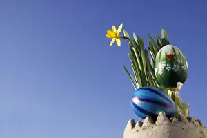 Easter Decorations Prints: Easter decorations, daffodils and Easter eggs