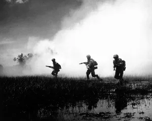 Vietnam War Prints: Vietnamese Army Troops in Marshy Terrain Print