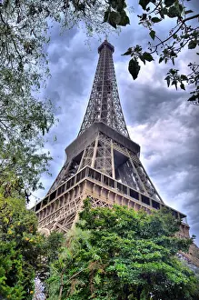 Paris France Landmark Prints: Eiffel Tower Behind Tree