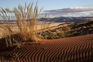 Elim Dune, view onto grass steppe at Sesriem Camp, Namib Desert, Namib Naukluft Park Elim Dune, view onto grass steppe at Sesriem Camp, Namib Desert, Namib Naukluft Park