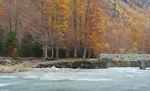 Ordesa National Park Prints: Fall colors
