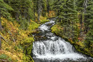 Fall Creek in Three Sisters Wilderness in autumn, Deschutes National Forest, Oregon, USA Fall Creek in Three Sisters Wilderness in autumn, Deschutes National Forest, Oregon, USA