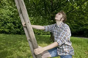 Agrarian Lifestyle Prints: Farmer climbing a ladder leaning on a fruit tree