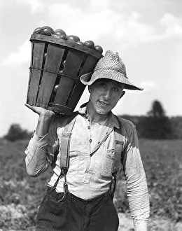 Farmhand Wearing A Placard Front Shirt Pin Stripe Farmhand Wearing A Placard Front Shirt Pin Stripe