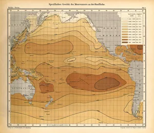 February Mean Temperature of Seawater at the Surface, Pacific Ocean February Mean Temperature of Seawater at the Surface, Pacific Ocean