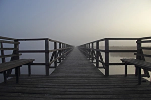 Federsee pier, morning mood, Lake Federsee, Upper Swabia, Baden-Wuerttemberg, Germany Federsee pier, morning mood, Lake Federsee, Upper Swabia, Baden-Wuerttemberg, Germany