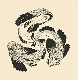 Three fish swimming in circle art nouveau 1896 Three fish swimming in circle art nouveau 1896