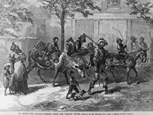 Fleeing Yellow Fever Fleeing Yellow Fever