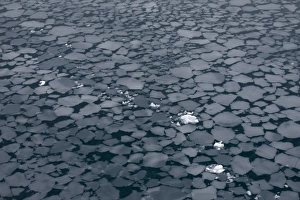 Floes created by slush, Paradise Bay, Antarctic Peninsula, Antarctica Floes created by slush, Paradise Bay, Antarctic Peninsula, Antarctica