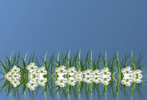 Flowers in the grass, mirroring, 3D graphics Flowers in the grass, mirroring, 3D graphics