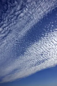 Cirrocumulus Clouds Germany Prints: Fluffy clouds or cirrocumulus clouds