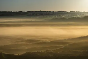 Fog over dunes and heathland at sunrise, Henne, Region of Southern Denmark, Denmark Fog over dunes and heathland at sunrise, Henne, Region of Southern Denmark, Denmark