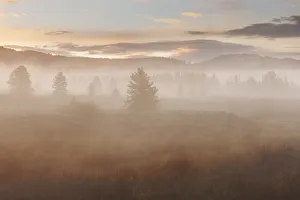Foggy landscape of Grand Teton National Park at sunrise, Wyoming, USA Foggy landscape of Grand Teton National Park at sunrise, Wyoming, USA
