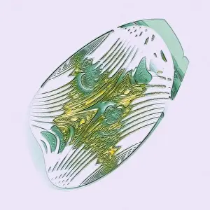 Abstract Fractals Prints: Fractal graphics, abstract