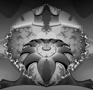 Black And White Geometry Prints: Fractal object