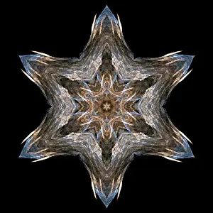 Computer Generated Graphics Prints: Fractal object