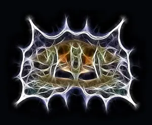 Computer Graphics Illustration Prints: Fractal object