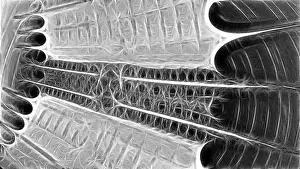 Computer Generated Graphics Prints: Fractal object