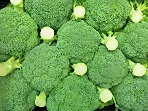 High Angle View Photos Prints: Fresh broccoli