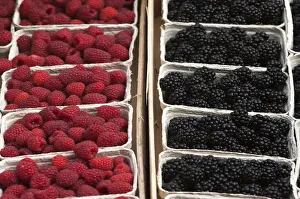 Fresh Raspberries -Rubus idaeus- and fresh Blackberries -Rubus sectio Rubusin- in boxes Fresh Raspberries -Rubus idaeus- and fresh Blackberries -Rubus sectio Rubusin- in boxes