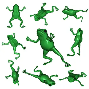 Images Dated 17th March 2011: 3D Frog Print