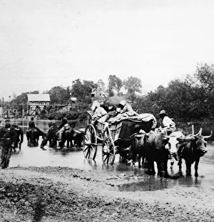 Civil War Images Prints: Fugitives