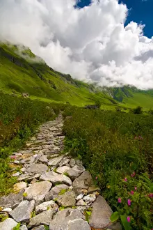 Himalayas Landscape Photography Prints: Garden in the clouds