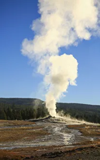 Geyser ejecting steam, Old Faithful Geyser, Yellowstone National Park, Wyoming, USA Geyser ejecting steam, Old Faithful Geyser, Yellowstone National Park, Wyoming, USA