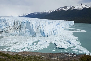 Glacial ice from the Perito Moreno Glacier calving into the lake of Lago Argentino Glacial ice from the Perito Moreno Glacier calving into the lake of Lago Argentino