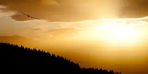 Glider Print at Sunset