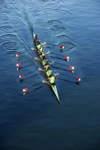 Athletic Prints: Crew Team Rowing Print
