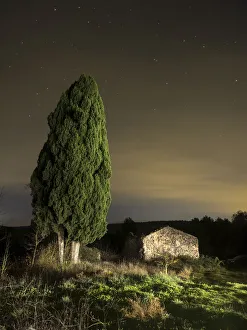 Great cypress of more than 100 years close to a farmhouse in ruins. In the mountain Great cypress of more than 100 years close to a farmhouse in ruins. In the mountain