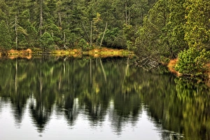 Great Moss Lake or Velke mechove jezirko, National Nature Reserve Rejviz Great Moss Lake or Velke mechove jezirko, National Nature Reserve Rejviz