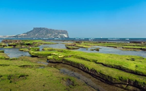 Green moss coast with Seongsan Ilchulbong Peak background Green moss coast with Seongsan Ilchulbong Peak background