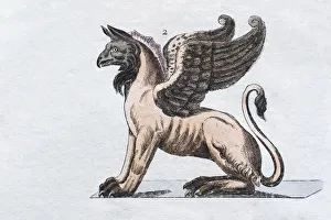 Griffin, hand - colored engraving from Friedrich Justin Bertuch Picture book for children Griffin, hand - colored engraving from Friedrich Justin Bertuch Picture book for children