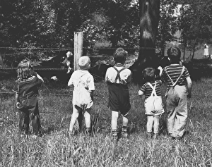 Group of Children Looking at Cows in a Field Group of Children Looking at Cows in a Field