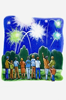 Group of people watching fireworks display in a park Group of people watching fireworks display in a park