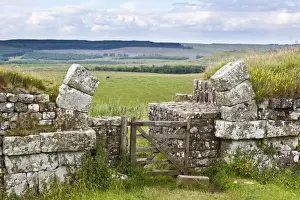Northumberland History Prints: Hadrians Wall