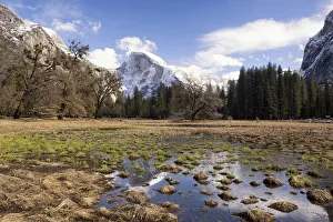 Half Dome with reflections seen from Cooks Meadow, Yosemite National Park, California, USA Half Dome with reflections seen from Cooks Meadow, Yosemite National Park, California, USA