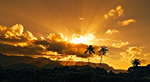 Hanalei Bay Sunset over Palm Trees Kauai Hawaii Hanalei Bay Sunset over Palm Trees Kauai Hawaii