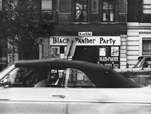 Harlem Panther HQ