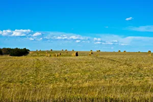 Hay bales in field, Nebraska Panhandle, Nebraska, USA Hay bales in field, Nebraska Panhandle, Nebraska, USA