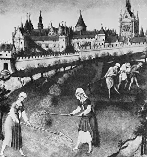 Agricultural Scene In Europe Prints: Haymaking