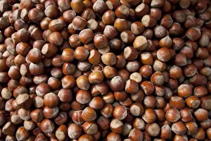 Brown Food Photography Prints: Hazel nuts, background