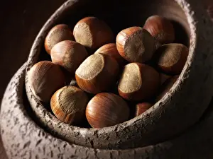 Studio Shot Of Hazelnuts Prints: Whole hazelnuts