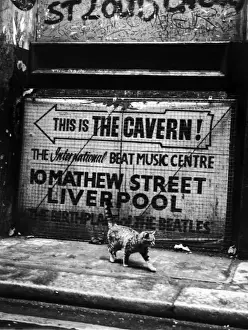 Prints of A cat walks past a sign pointing the way to the Cavern, birthplace of the Beatles in Liverpool. (Photo by Evening Standard/Getty Images) Related Prints: Hep Cat Print