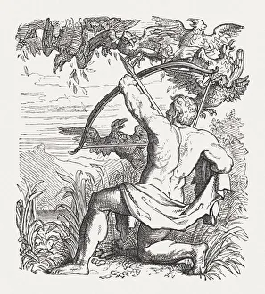 Hercules killed the Stymphalian birds, Greek mythology, published in 1880 Hercules killed the Stymphalian birds, Greek mythology, published in 1880