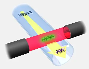 High voltage driving DNA fragments along a capillary tube passing through a photo High voltage driving DNA fragments along a capillary tube passing through a photo