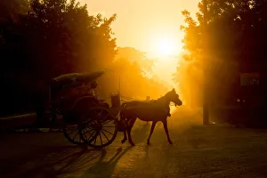 Horse carriage at the Bagan Archaeological Zone, Beautiful sunset scene of horsecart in Horse carriage at the Bagan Archaeological Zone, Beautiful sunset scene of horsecart in